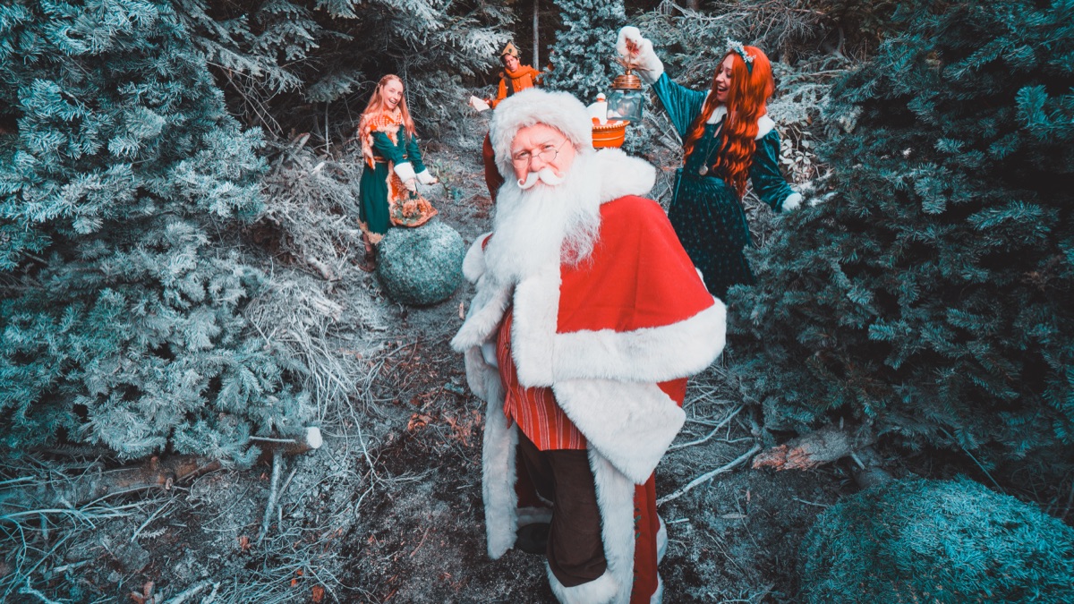Father Christmas climbing a woodland path while the residents look on
