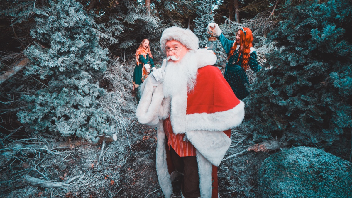 Father Christmas carrying his sack through the frosted trees